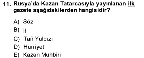 XIX. Yüzyıl Türk Dünyası 2013-2014 Ara Sınav - 11. soru