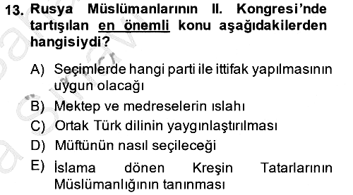 XIX. Yüzyıl Türk Dünyası 2013-2014 Ara Sınav - 13. soru