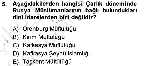 XIX. Yüzyıl Türk Dünyası 2014-2015 Ara Sınav - 5. soru