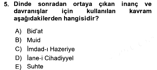 XIX. Yüzyıl Türk Dünyası 2017-2018 Ara Sınav - 5. soru