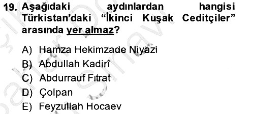 XIX. Yüzyıl Türk Dünyası 2013-2014 Dönem Sonu Sınavı - 19. soru