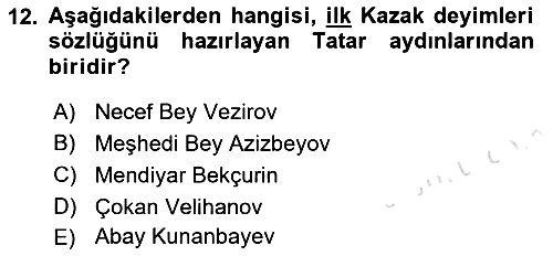 XIX. Yüzyıl Türk Dünyası 2021-2022 Dönem Sonu Sınavı - 12. soru