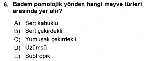 Bahçe Tarımı 2024-2025 Ara Sınav - 6. soru