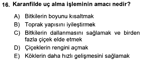 Bahçe Tarımı 2024-2025 Dönem Sonu Sınavı - 16. soru