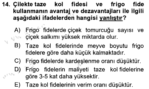 Bahçe Tarımı 2024-2025 Yaz Okulu Sınavı - 14. soru