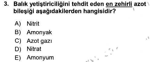 Balık Yetiştiriciliği 2016-2017 3 Ders Sınavı - 3. soru