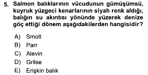 Balık Yetiştiriciliği 2016-2017 3 Ders Sınavı - 5. soru