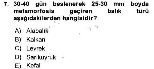 Balık Yetiştiriciliği 2016-2017 3 Ders Sınavı - 7. soru