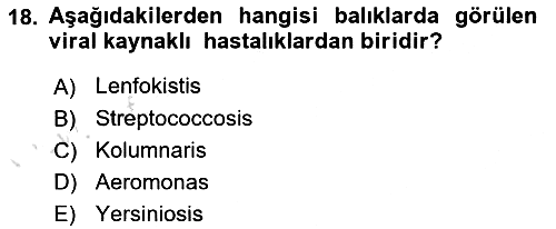 Balık Yetiştiriciliği 2018-2019 3 Ders Sınavı - 18. soru