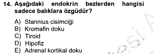Balık Yetiştiriciliği 2012-2013 Ara Sınav - 14. soru