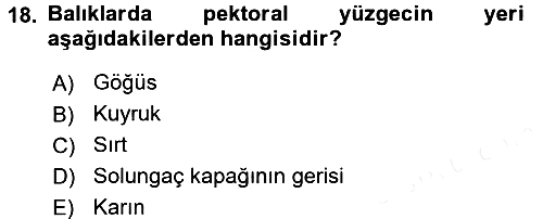 Balık Yetiştiriciliği 2015-2016 Ara Sınav - 18. soru