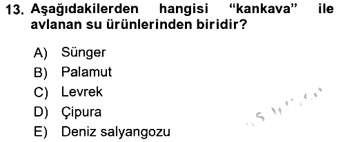 Balık Yetiştiriciliği 2016-2017 Ara Sınav - 13. soru