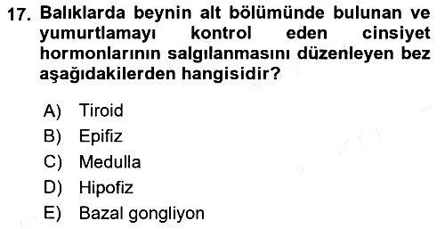 Balık Yetiştiriciliği 2018-2019 Ara Sınav - 17. soru