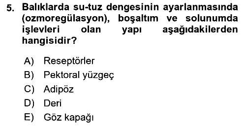 Balık Yetiştiriciliği 2024-2025 Ara Sınav - 5. soru