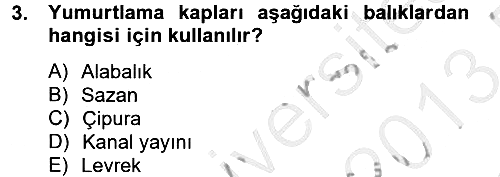 Balık Yetiştiriciliği 2012-2013 Dönem Sonu Sınavı - 3. soru