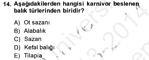 Balık Yetiştiriciliği 2013-2014 Dönem Sonu Sınavı - 14. soru