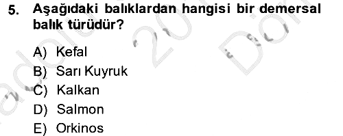Balık Yetiştiriciliği 2014-2015 Dönem Sonu Sınavı - 5. soru