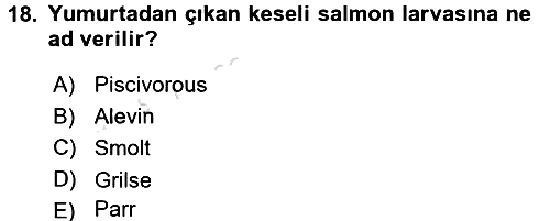 Balık Yetiştiriciliği 2015-2016 Dönem Sonu Sınavı - 18. soru