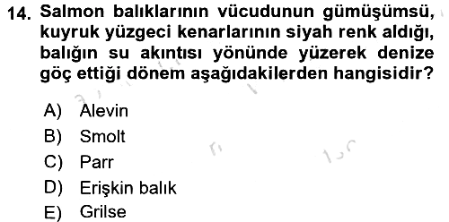 Balık Yetiştiriciliği 2016-2017 Dönem Sonu Sınavı - 14. soru