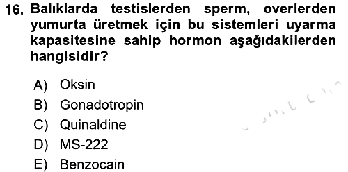 Balık Yetiştiriciliği 2016-2017 Dönem Sonu Sınavı - 16. soru