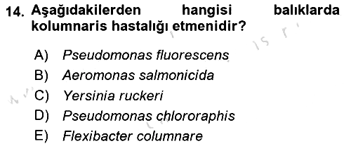 Balık Yetiştiriciliği 2023-2024 Dönem Sonu Sınavı - 14. soru