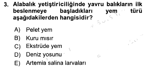 Balık Yetiştiriciliği 2024-2025 Dönem Sonu Sınavı - 3. soru