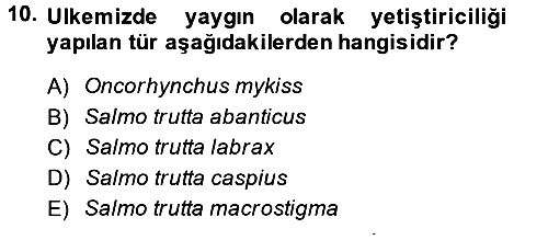 Balık Yetiştiriciliği 2014-2015 Tek Ders Sınavı - 10. soru