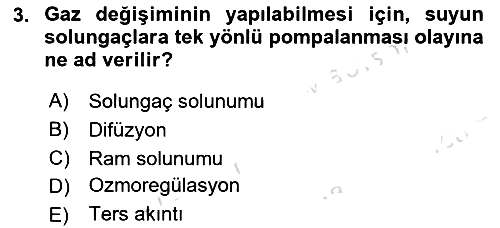 Balık Yetiştiriciliği 2020-2021 Yaz Okulu Sınavı - 3. soru