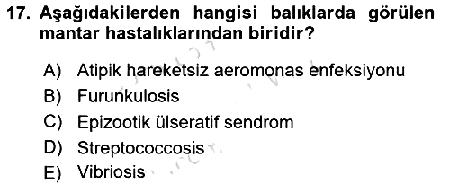 Balık Yetiştiriciliği 2022-2023 Yaz Okulu Sınavı - 17. soru