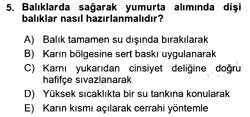 Balık Yetiştiriciliği 2024-2025 Yaz Okulu Sınavı - 5. soru