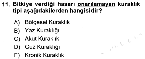 Bitki Su İlişkileri 2019-2020 Ara Sınav - 11. soru