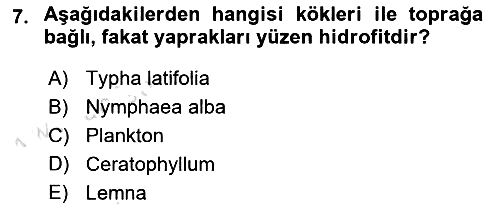 Bitki Su İlişkileri 2021-2022 Ara Sınav - 7. soru