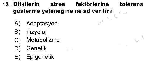 Bitki Su İlişkileri 2021-2022 Ara Sınav - 13. soru