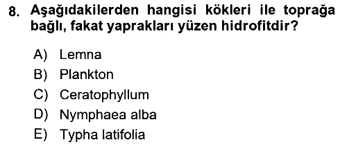 Bitki Su İlişkileri 2024-2025 Ara Sınav - 8. soru