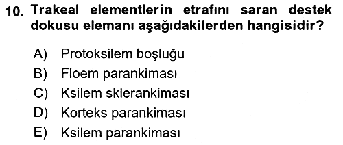 Bitki Su İlişkileri 2024-2025 Ara Sınav - 10. soru