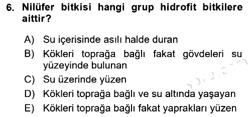 Bitki Su İlişkileri 2025-2026 Ara Sınav - 6. soru
