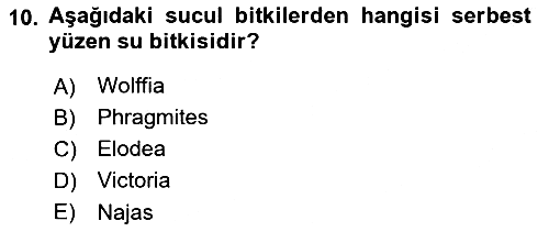 Bitki Su İlişkileri 2024-2025 Dönem Sonu Sınavı - 10. soru