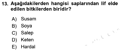 Bitki Su İlişkileri 2021-2022 Yaz Okulu Sınavı - 13. soru
