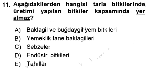 Bitki Su İlişkileri 2022-2023 Yaz Okulu Sınavı - 11. soru