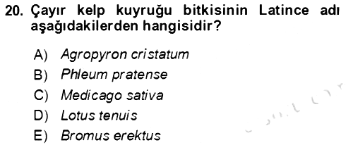 Ekoloji ve Çevre Bilgisi 2021-2022 Ara Sınav - 20. soru