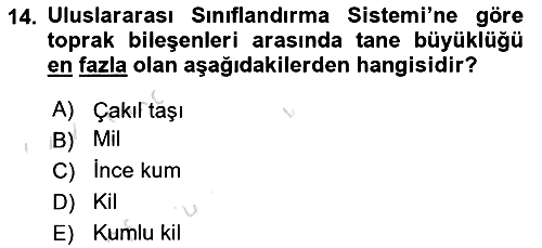 Ekoloji ve Çevre Bilgisi 2024-2025 Ara Sınav - 14. soru
