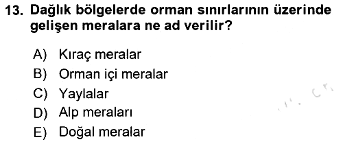 Ekoloji ve Çevre Bilgisi 2025-2026 Ara Sınav - 13. soru