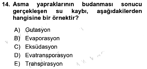 Ekoloji ve Çevre Bilgisi 2025-2026 Ara Sınav - 14. soru