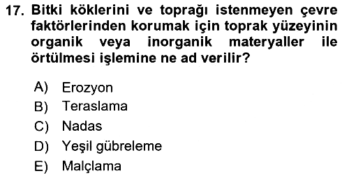 Ekoloji ve Çevre Bilgisi 2025-2026 Ara Sınav - 17. soru