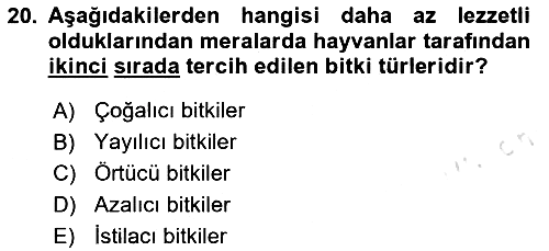 Ekoloji ve Çevre Bilgisi 2025-2026 Ara Sınav - 20. soru