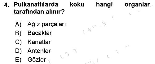 Entomoloji 2018-2019 3 Ders Sınavı - 4. soru
