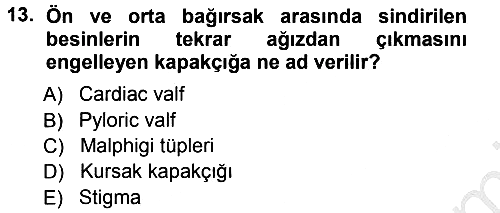 Entomoloji 2012-2013 Ara Sınav - 13. soru