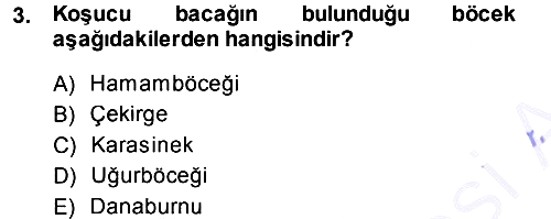 Entomoloji 2013-2014 Ara Sınav - 3. soru