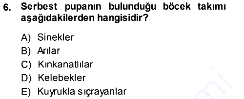 Entomoloji 2013-2014 Ara Sınav - 6. soru