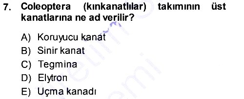 Entomoloji 2013-2014 Ara Sınav - 7. soru